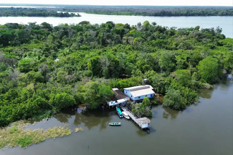 Ideflor-Bio amplia escritórios regionais e fortalece gestão ambiental no Pará