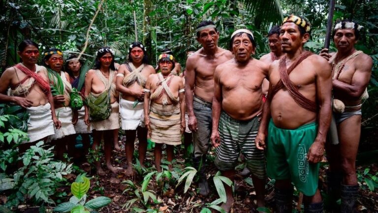 Povos da floresta são guardiões da Amazônia e fortalecem a defesa dos territórios no Pará