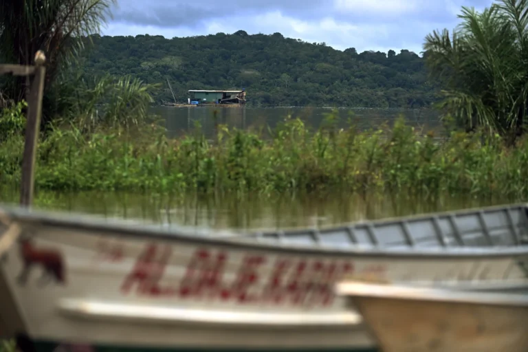 Permissões de garimpo no Tapajós levantam alerta sobre ouro ilegal e contaminação por mercúrio