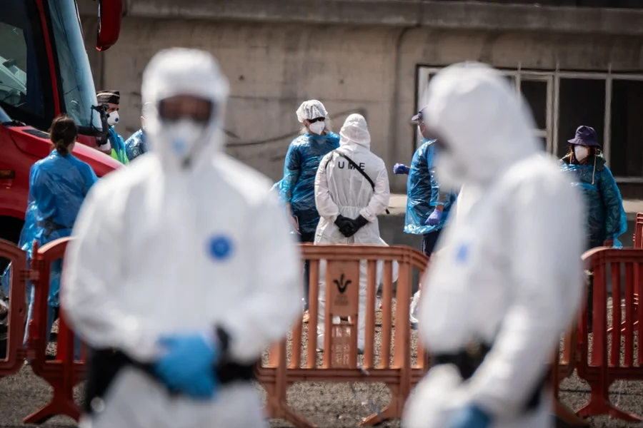 Missão argentina investigará possível origem de contaminação por hantavírus em Ushuaia