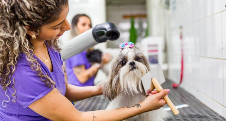 Mercado pet cresce em Belém e serviços de banho e tosa ganham força entre tutores