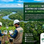 COP 30 e IPAM apresenta mapa global para frear desmatamento até 2030