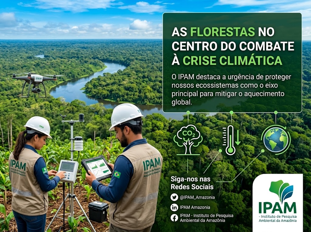 COP 30 e IPAM apresenta mapa global para frear desmatamento até 2030