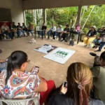 Agroflorestas em Tomé-Açu mostram diferentes caminhos para produzir com sustentabilidade